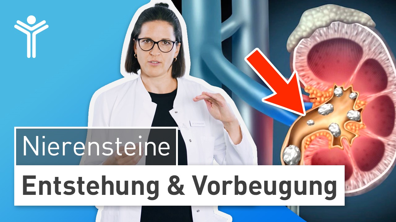 Nierensteine - Entstehung & Vorbeugung