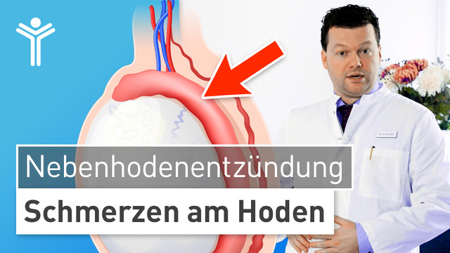 Nebenhodenentzündung - Schmerzen am Hoden